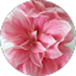 Profile photo of Jane Carlson