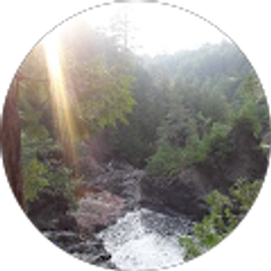 Profile photo of Aly Hook