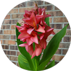 Profile photo of Jalisa Butts