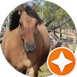 Profile photo of Sandrea voeller