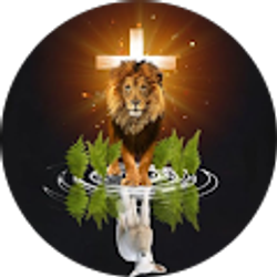 Profile photo of Ken Dabbs