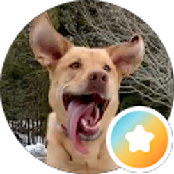 Profile photo of Mike Flynn