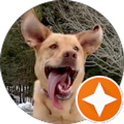 Profile photo of Mike Flynn