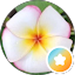 Profile photo of Ufokiban M. Edu