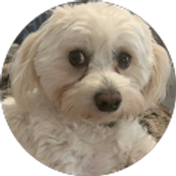 Profile photo of Jodie H