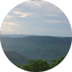 Profile photo of Betra v