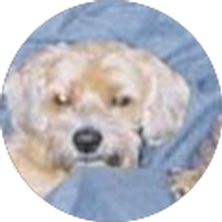 Profile photo of Rebecca Bertothy