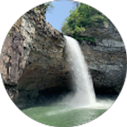 Profile photo of Gus Bon