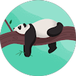 Profile photo of Scout Paul