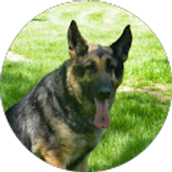 Profile photo of Keri Hendry