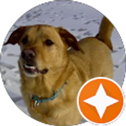 Profile photo of Trish McCartney