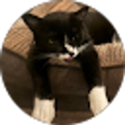 Profile photo of Marion (Mari)