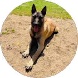 Profile photo of Jessi