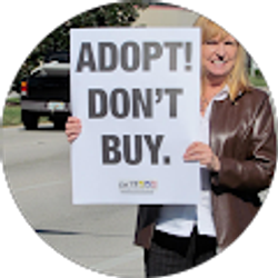 Profile photo of vpeter36