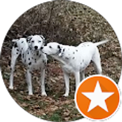 Profile photo of Sierra W