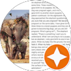 Profile photo of Beverly “JerzeeAnna” Tweedy