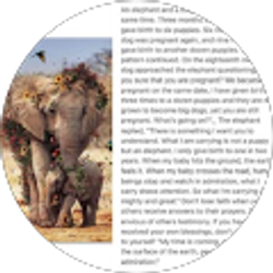 Profile photo of Beverly “JerzeeAnna” Tweedy