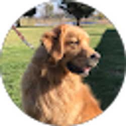 Profile photo of Deb Stern