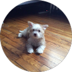 Profile photo of Argelia Villegas