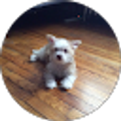 Profile photo of Argelia Villegas