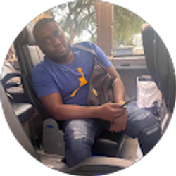 Profile photo of Ansly Joseph