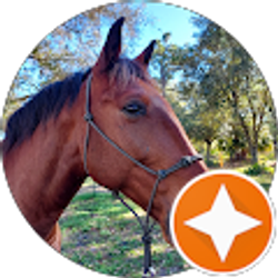 Profile photo of Krista Fischer