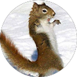 Profile photo of GrammyTeri Hansen Crow