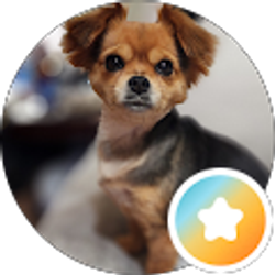 Profile photo of K Roark