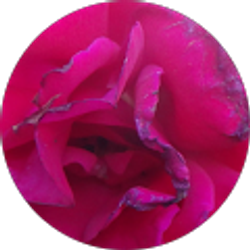 Profile photo of stay_calm_ and_bmx