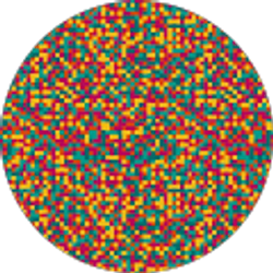 Profile photo of Paul Whitaker