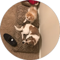 Profile photo of Conor Kane