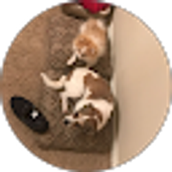 Profile photo of Conor Kane