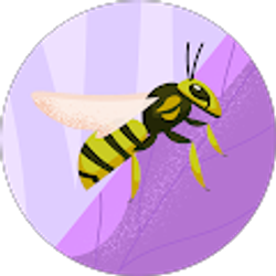 Profile photo of Tanya