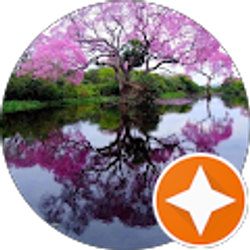 Profile photo of He Wang