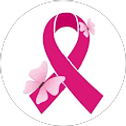 Profile photo of Jamie Holbrook