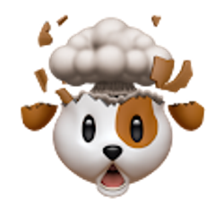 Profile photo of Patrice Williams