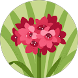 Profile photo of Alyssa Robison