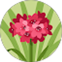 Profile photo of Alyssa Robison