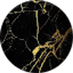 Profile photo of Taylor Jambrosic