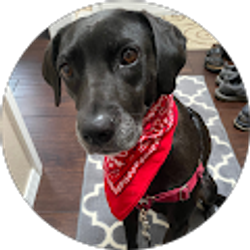 Profile photo of Angela Grupe