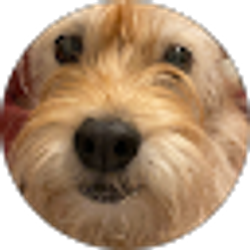 Profile photo of Ziggy Stardust357