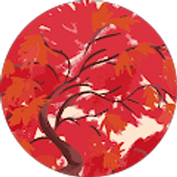 Profile photo of Shae Barclay