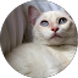 Profile photo of Fahma Mohamed