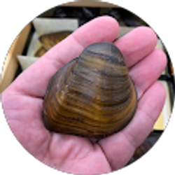 Profile photo of Nathan Click