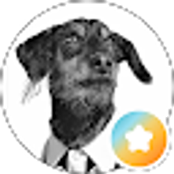 Profile photo of Roni “2020 Blue” Blue Rey