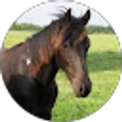 Profile photo of Cathy Lopez