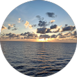 Profile photo of D Ross