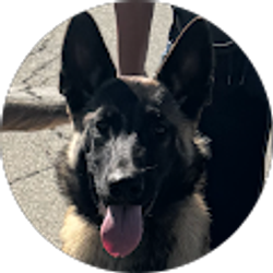 Profile photo of Mmm Jay