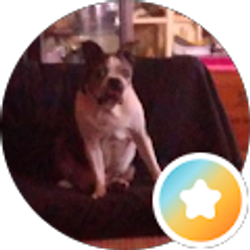 Profile photo of Dawn Rosamond
