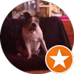 Profile photo of Dawn Rosamond